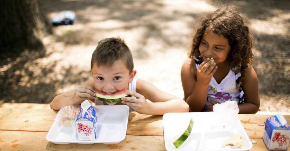 summer lunch